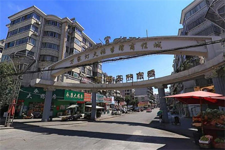 西外金利多·青华园3室2厅2卫南